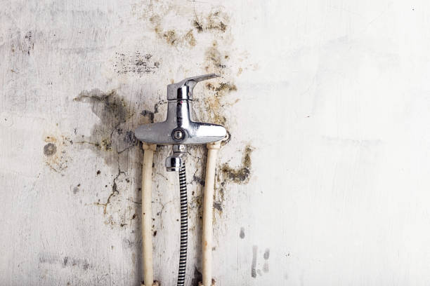 Best Mold Cleaning Services  in Tonkawa, OK