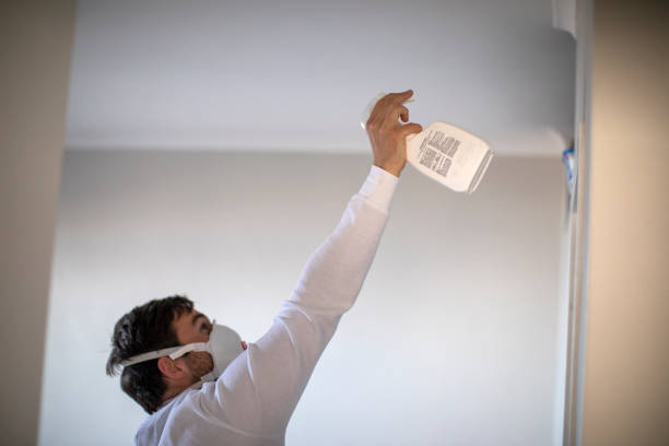 Best Mold Remediation  in Tonkawa, OK