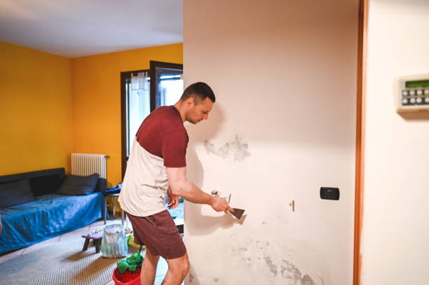 Best Emergency Mold Removal  in Tonkawa, OK