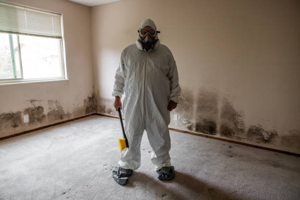 Trusted Tonkawa, OK Mold Removal Experts