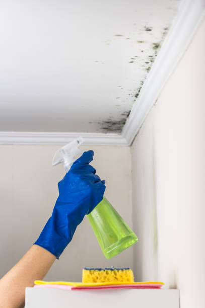 Best Crawl Space Mold Removal  in Tonkawa, OK